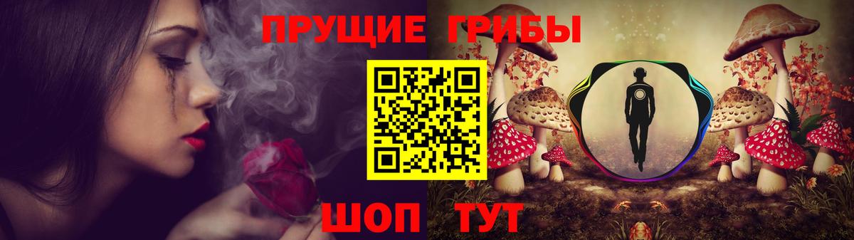Ростов-на-Дону  Галлюциногенные грибы Cubensis  Вход с VPN 
